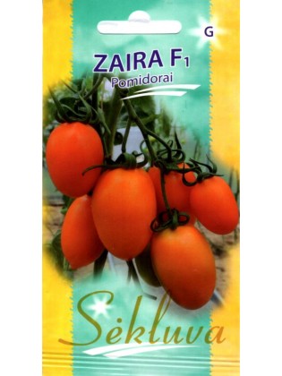 Tomato 'Zaira' H