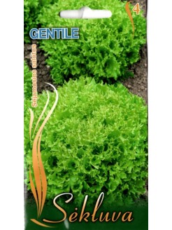 Lettuce 'Gentile' 1 g