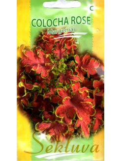 Шпороцветник шлемниковидный 'Colocha Rose' 20 семян