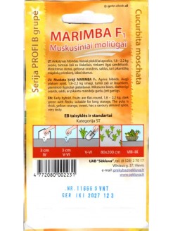 Courge musquée 'Marimba' H, 5 graines