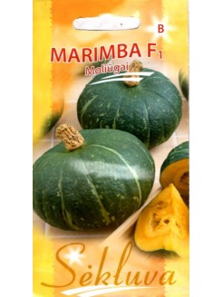 Тыква мускатная 'Marimba' H, 5 семян