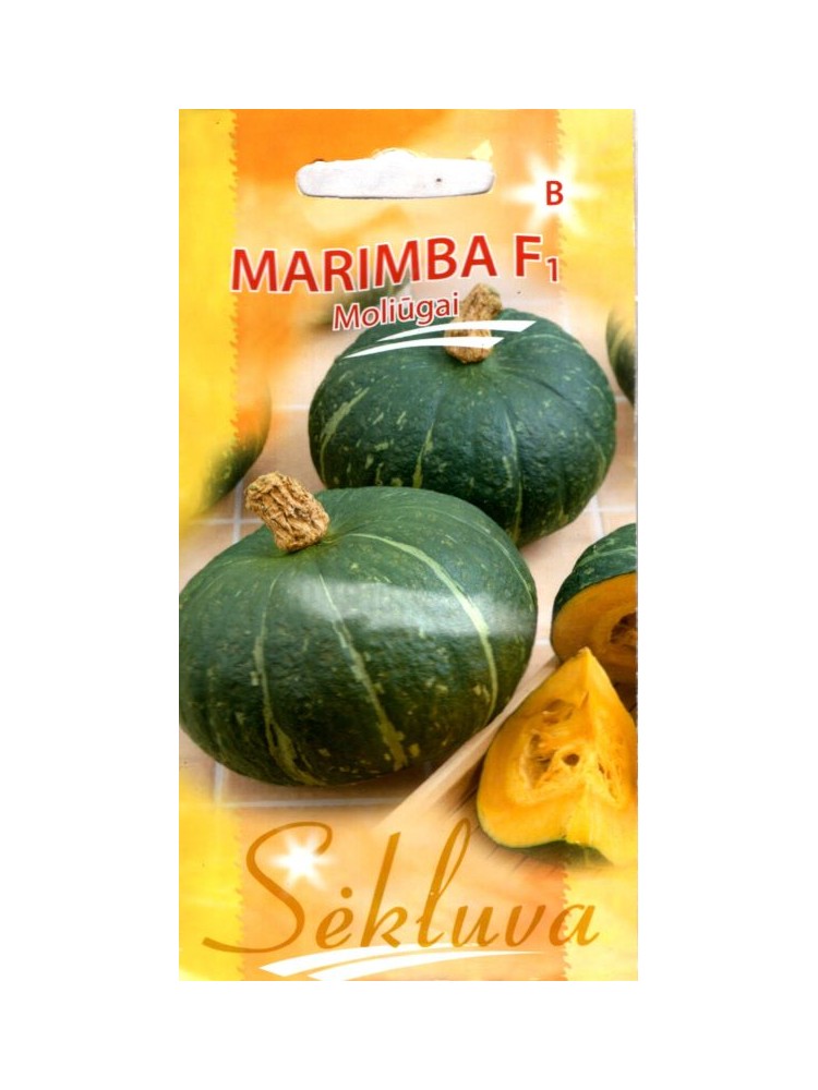 Squash 'Marimba' H, 5 seeds