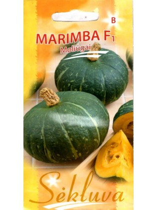 Squash 'Marimba' H, 5 seeds