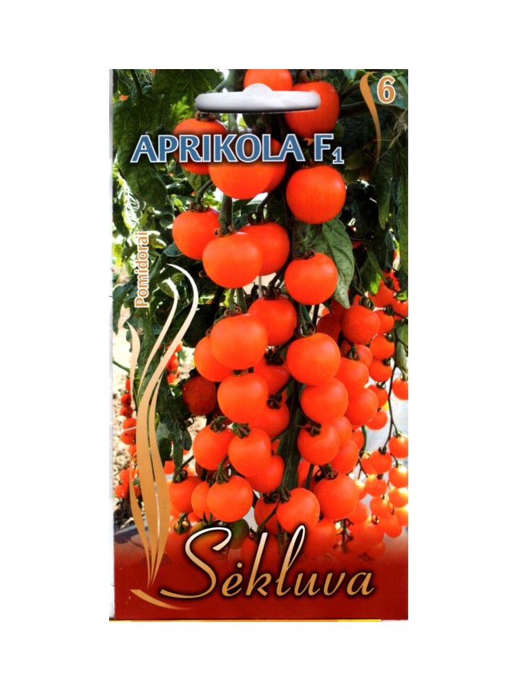 Tomato 'Aprikola' H, 10 seeds