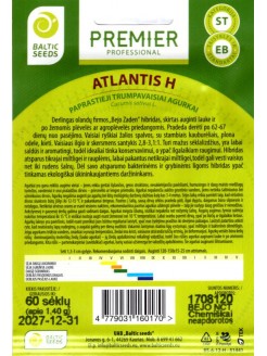 Gherkin 'Atlantis' H, 60 seeds