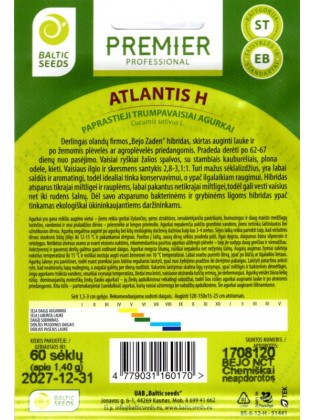 Cornichon 'Atlantis' H, 60 graines