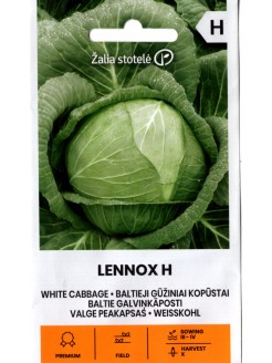 Weißkohl 'Lennox' H, 0,1 g