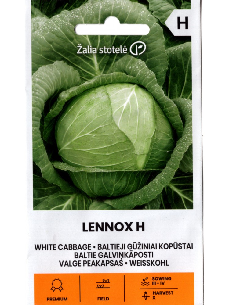 Chou cabus blanc 'Lennox' H, 0,1 g