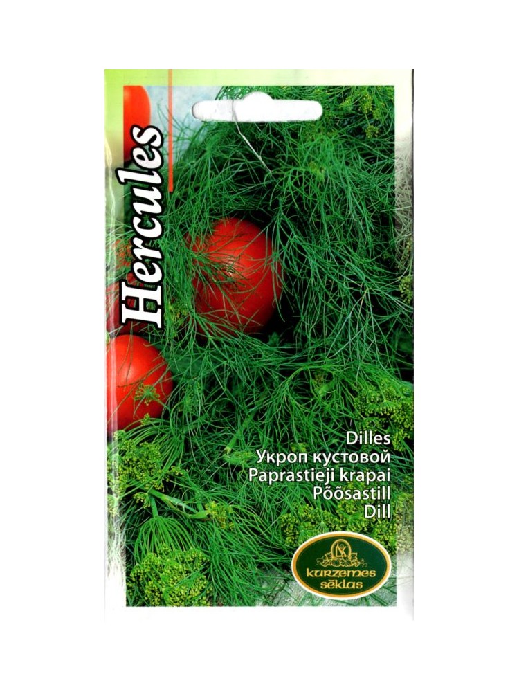 Dill 'Hercules' 5 g