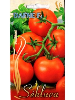 Pomidorai 'Dafne' F1