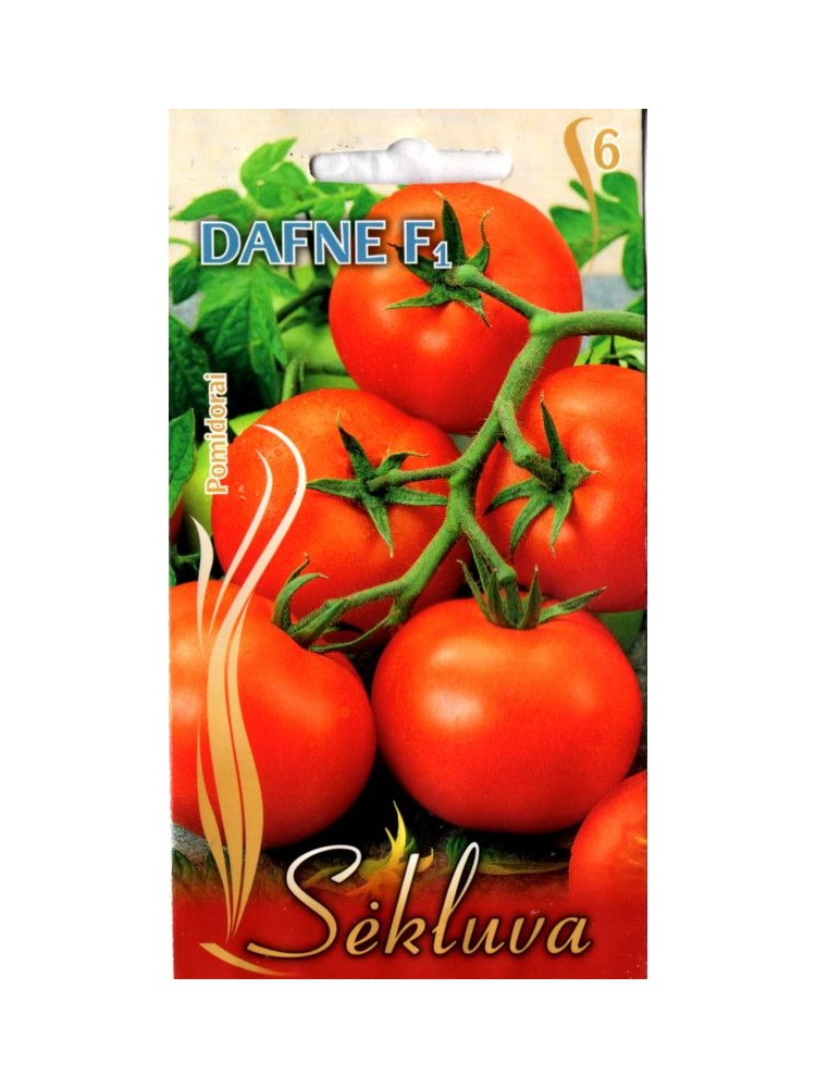 Pomidorai 'Dafne' F1