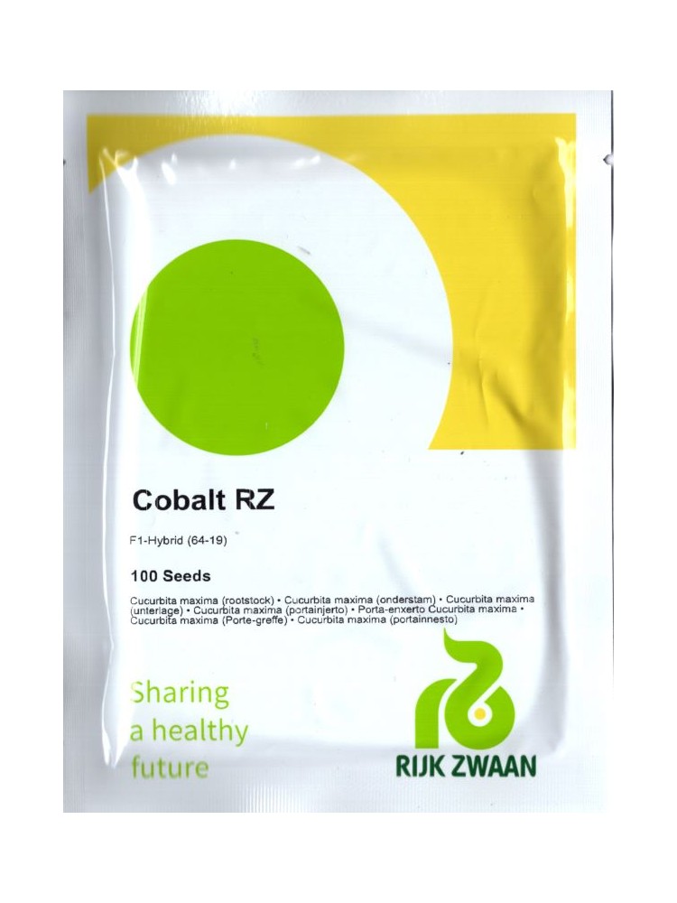 Porte-greffe pour concombres et cornichons 'Cobalt' F1, 100 semences