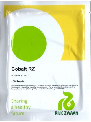 Wurzelstock für Gurken 'Cobalt' F1, 100 Samen