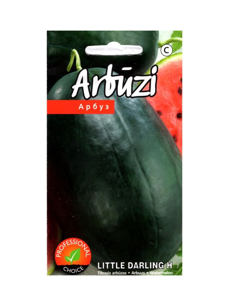 Arbūzs 'Little Darling' H, 5 sēklas