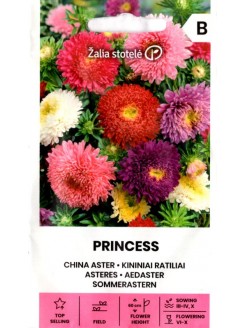 Ķīnas astere 'Princess' 1 g
