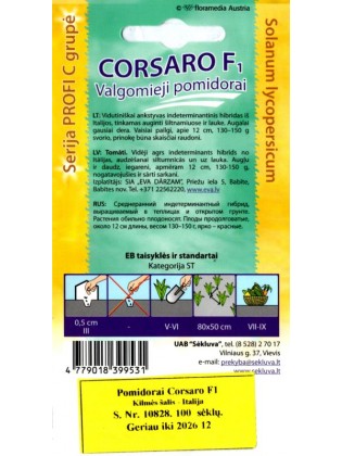 Tomate 'Corsaro' H, 100 semences