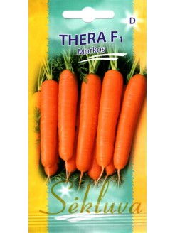 Carrot 'Thera' F1, 600 seeds