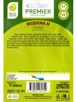 Zucchini 'Modena' H, 5 seeds