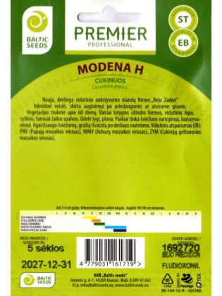 Courgette 'Modena' H, 5 graines