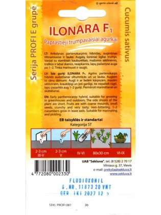 Cornichon 'Ilonara' H, 20 graines