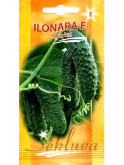 Огурец 'Ilonara' H, 20 семян