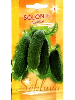 Огурец 'Solon' F1, 20 семян