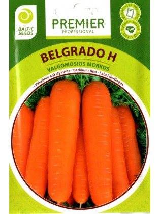 Морковь 'Belgrado' H, 600...