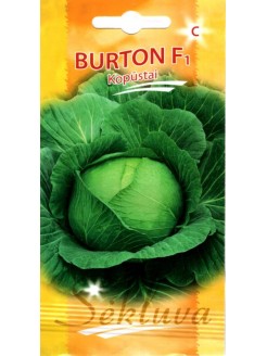 Kopūstai baltagūžiai 'Burton' F1, 30 sėklų