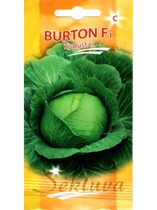 White cabbage 'Burton' F1, 30 seeds