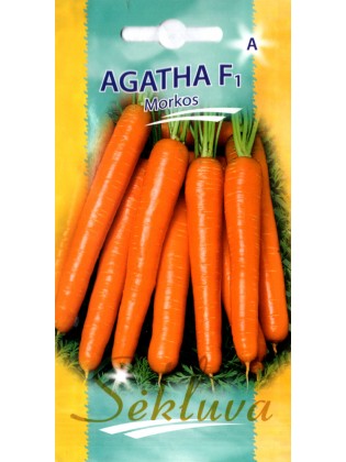 Burkāni 'Agatha' F1, 1 g