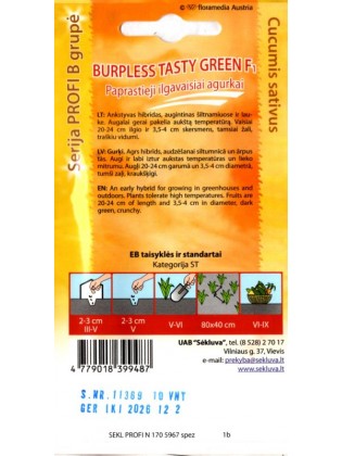 Огурец посевной 'Burpless Tasty Green' H, 10 семян