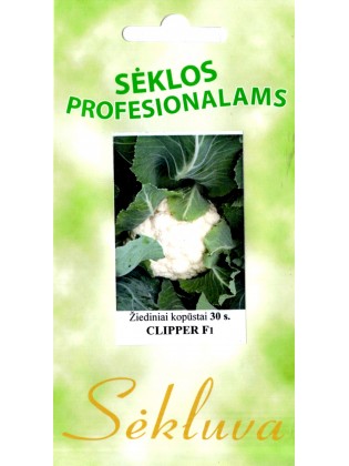 Cauliflower 'Clipper' H, 30 seeds