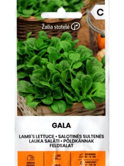 Gewöhnlicher Feldsalat 'Gala' 1 g
