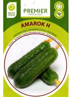 Gherkin 'Amarok' H, 20 seeds