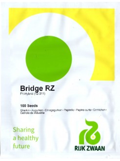 Agurkai 'Bridge RZ' F1, 100 sėklų