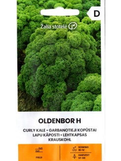 Kale 'Oldenbor' F1, 20 seeds