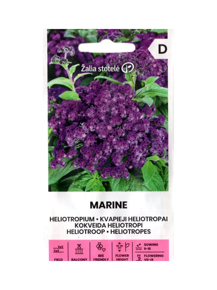Garden Heliotrope 'Marine' 0,1 g