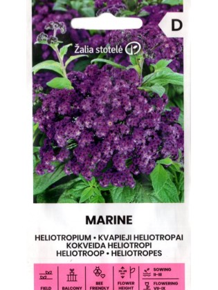 Heliotropium arborescens 'Marine' 0,1 g