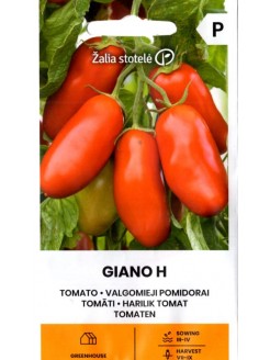 Pomidorai 'Giano' H, 10 sėklų