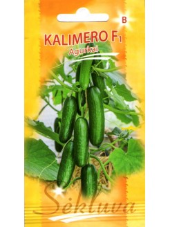 Cucumber 'Kalimero' H, 5 seeds