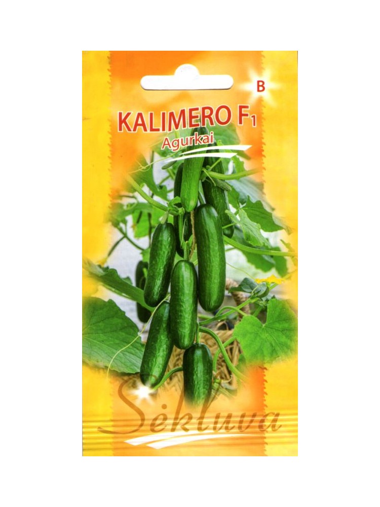 Cucumber 'Kalimero' H, 5 seeds