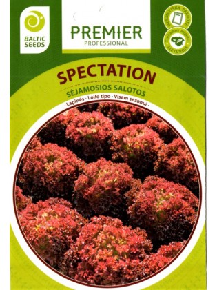 Lettuce 'Spectation' 50 seeds