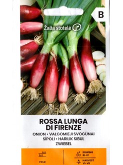Cipolla 'Rossa lunga d Firenze' 2 g