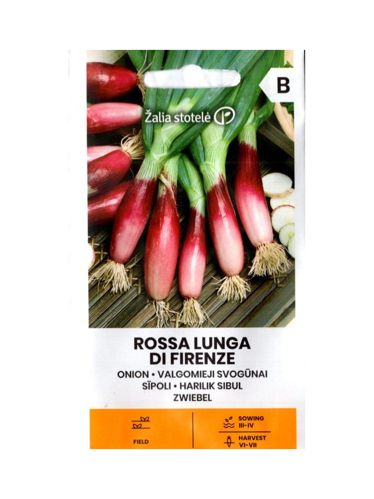 Onion 'Rossa lunga d Firenze' 2 g