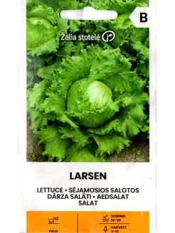 Laitue cultivée 'Larsen' 1 g