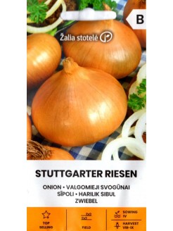 Harilik sibul 'Stuttgarter Riesen' 3 g