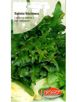 Lettuce 'Dubáček' 0,5 g