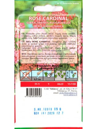 Rudgrūdėlė gibraltarinė 'Rose Cardinal' 0
