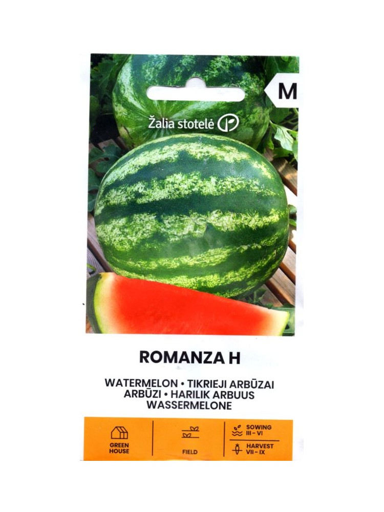 Wassermelone 'Romanza' H, 10 Samen