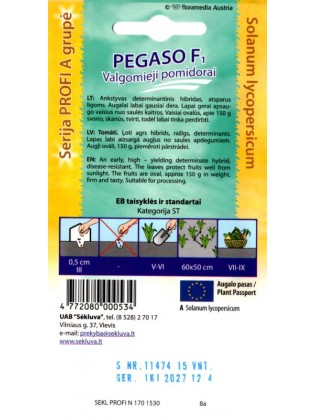 Томат 'Pegaso' H, 15 семян